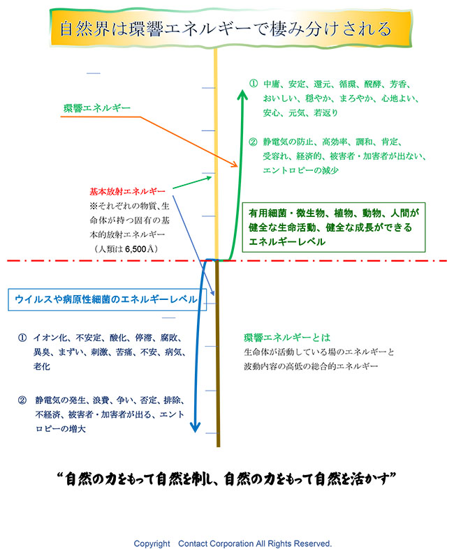 自然界は環境エネルギーで棲み分けされる