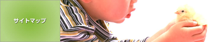 �T�C�g�}�b�v
