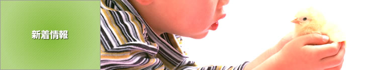 ���i�̏Љ�