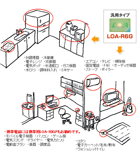 LOA���p�p�r